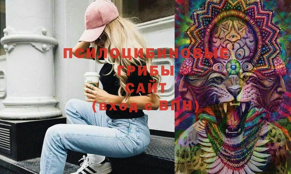 МДПВ Чегем