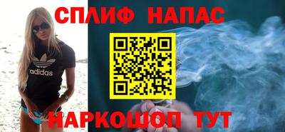 сатива Краснодар