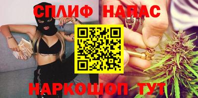 spice Дубна