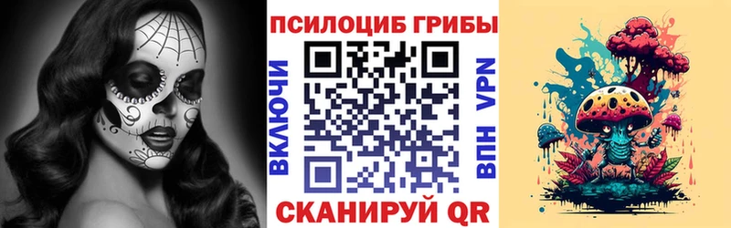 Псилоцибиновые грибы GOLDEN TEACHER  hydra tor  Люберцы 
