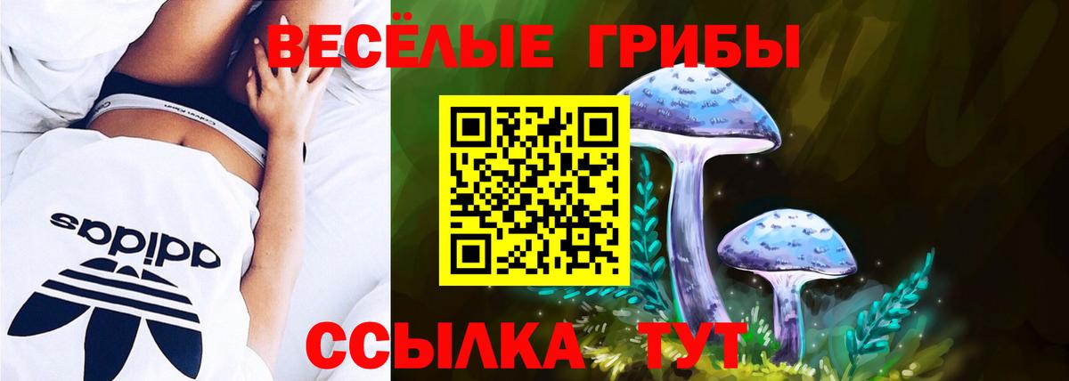 Люберцы  Псилоцибиновые грибы GOLDEN TEACHER  Вход с VPN 